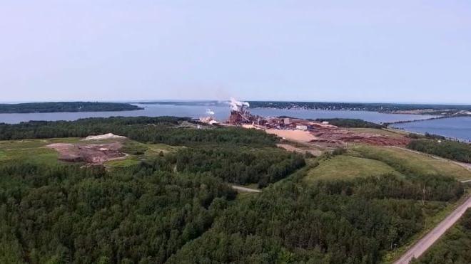 An aerial view of a pulp mill in the distance surrounded by leafy forest.